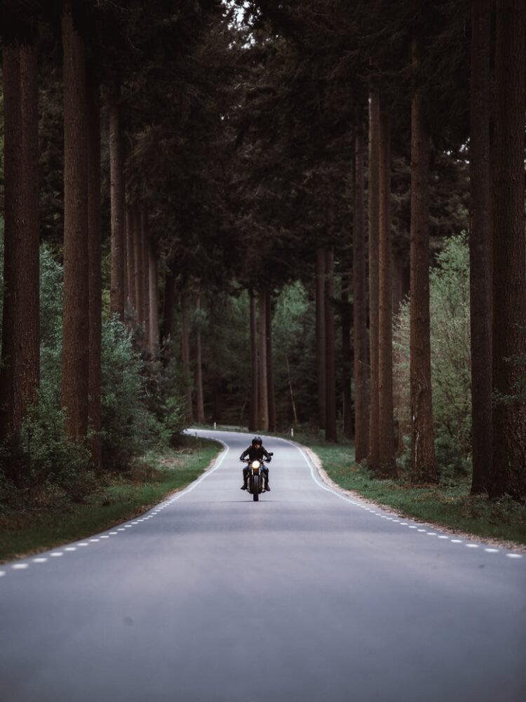 man riding black motorcycle on road between forest